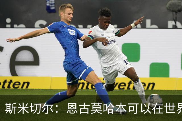 斯米切尔：恩古莫哈本可以在世界杯改变局势，但他能参加下一届